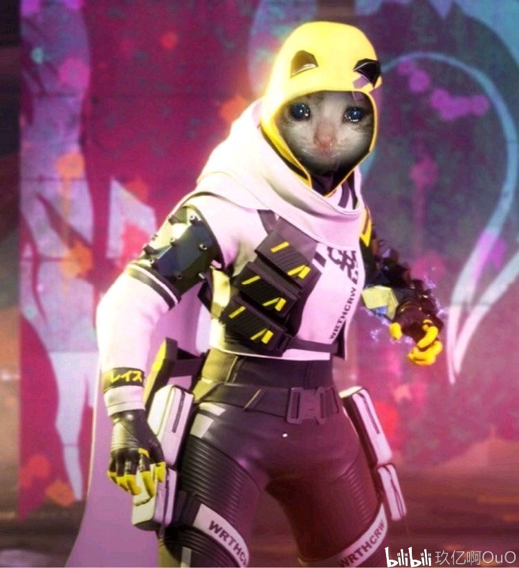 NIP赛季总结：很遗憾未能搭上季后赛旅途的末班车 我们夏季赛再见